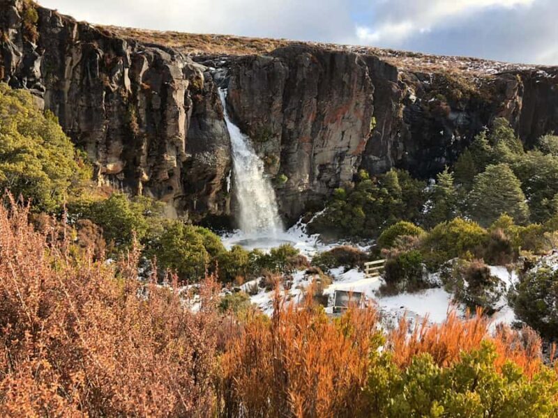 Tongariro National Park: Pre-Sunset Guided Walking Tour - Who Is This Tour Best For?