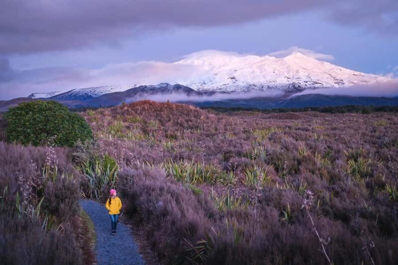 Tongariro National Park: Pre-Sunset Guided Walking Tour - Frequently Asked Questions