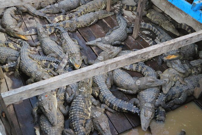 Tonle Sap Lake Half day private tour & Artisan craft center in Siem Reap - Key Points