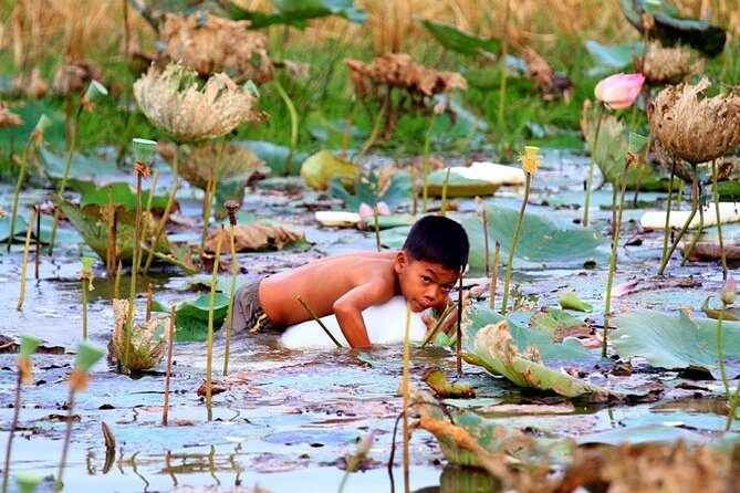 Tonle Sap Lake & Kampong Phluk Half-Day Tours - The Sum Up