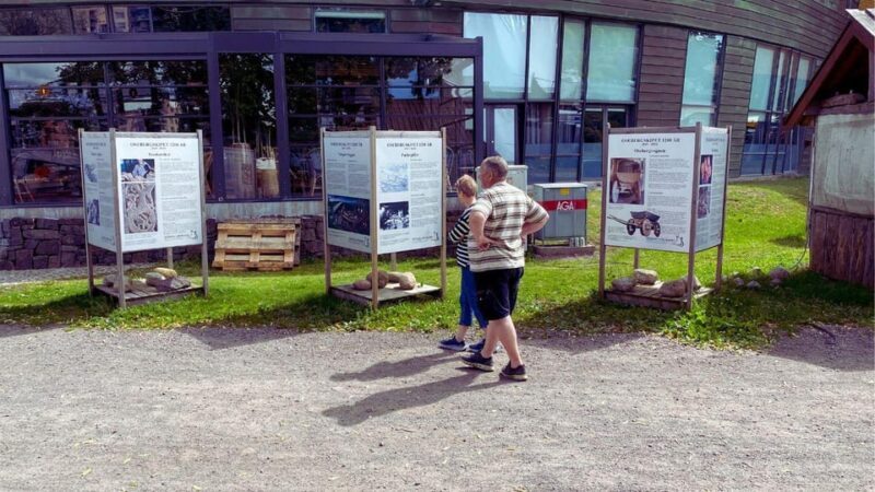 Tønsberg: Walk with a Viking - Guided Tour - Key Points