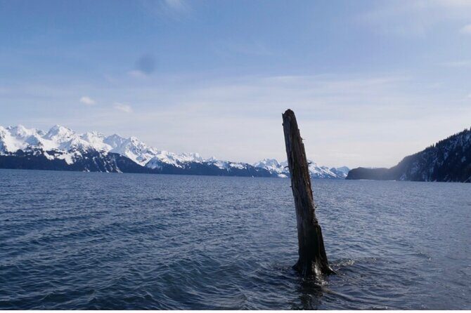 Tonsina Beach Hike with Seward Guided Hikes - Key Points