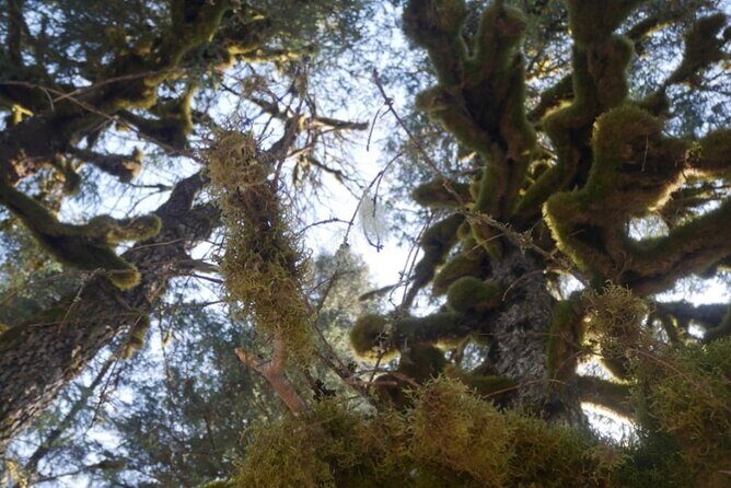 Tonsina Beach Hike with Seward Guided Hikes - Final Thoughts: Who Should Consider This Hike?