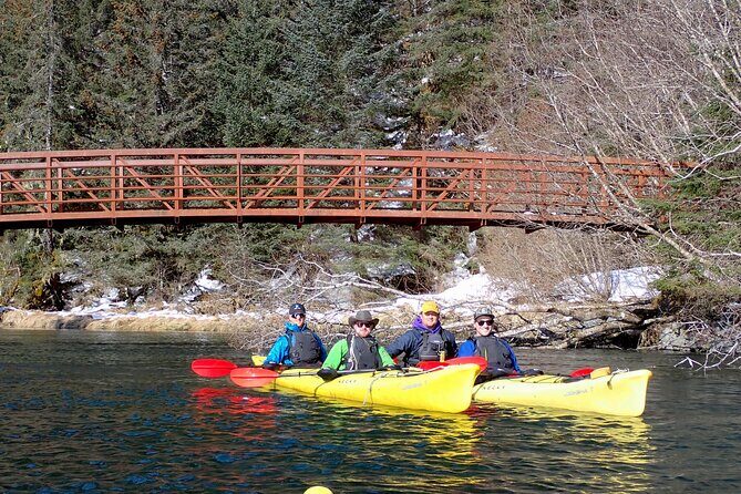 Tonsina Point Kayak in Resurrection Bay - What Do Guests Say?