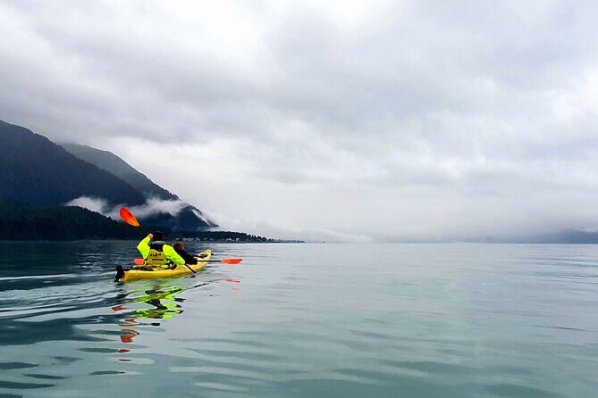 Tonsina Point Kayak in Resurrection Bay - Analyzing the Value