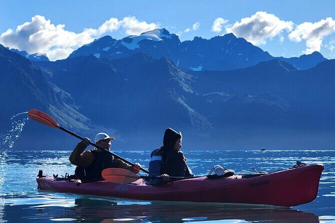 Tonsina Point Kayak in Resurrection Bay - The Sum Up: Who Should Book This Tour?