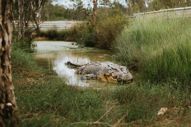 Top End Safari Camp Day Tour - FAQ