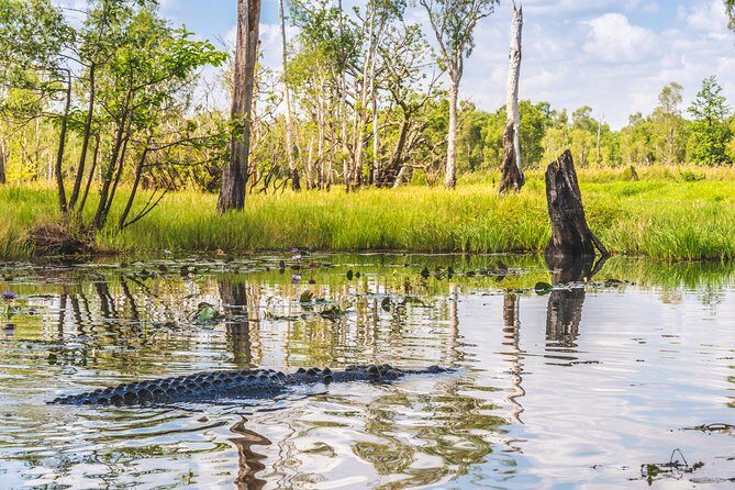 Top End Safari Camp Overnight Tour - Final Thoughts: Is It Worth It?