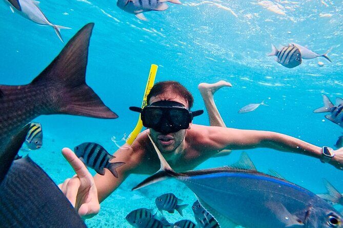 Top Experience: Snorkel Tour & All Inclusive Beach Club - Authenticity and Real Traveler Feedback