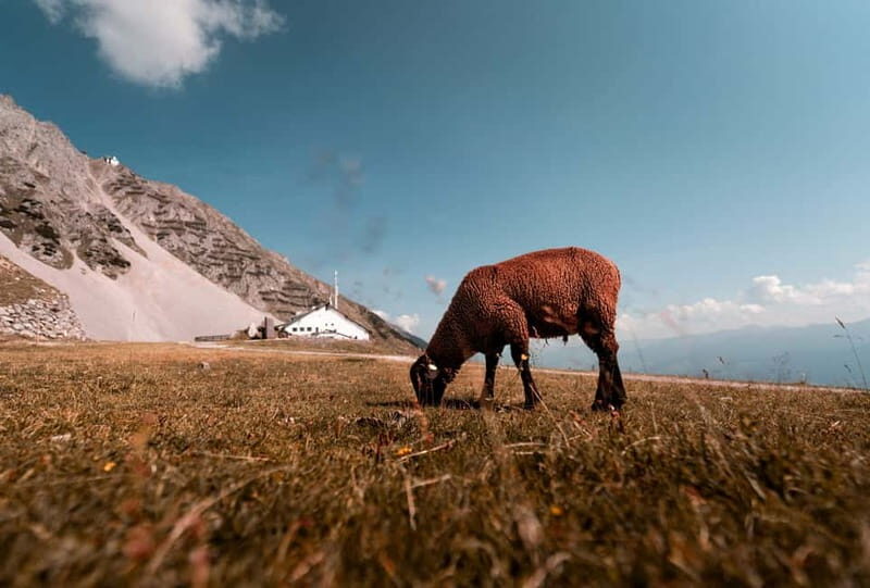 Top of Innsbruck: Roundtrip Cable Car Ticket - What Makes This Tour Stand Out?