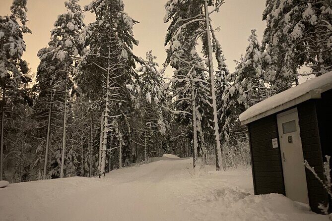 Top of Oslo Snowshoe Tour - The Sum Up