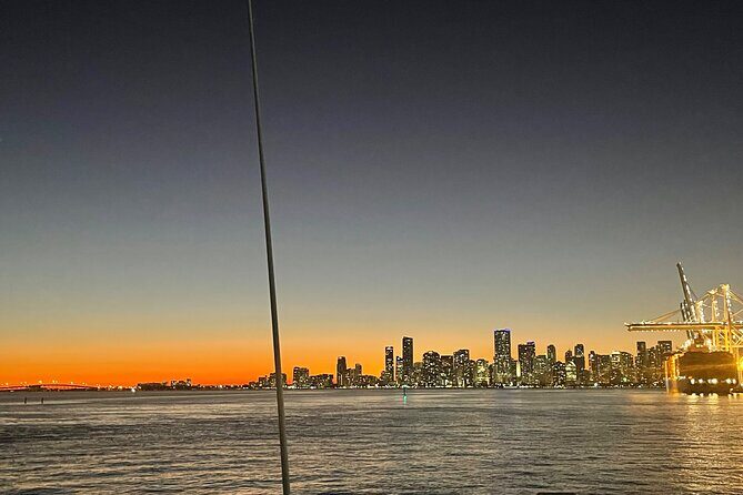Top Rated 2 Hour Miami Night Skyline Cruise with Open Bar - The Experience: What Travelers Are Saying