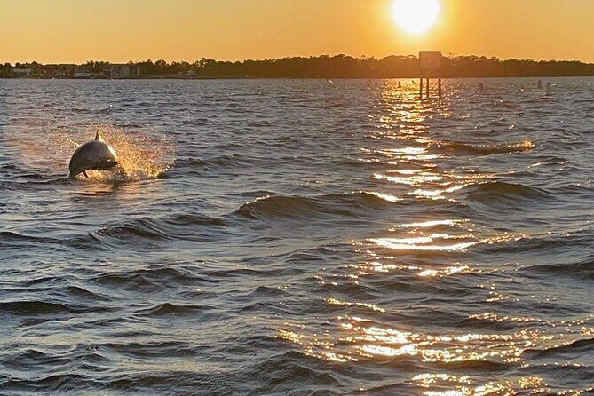 Top Shelf Tikis- Sunset Cruise 1.5hr - Why the Top Shelf Tikis Sunset Cruise Is Worth Considering