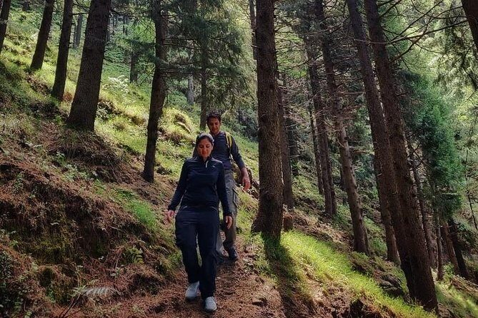 Top Tibba Trek - Mussoorie - An In-Depth Look at the Top Tibba Trek
