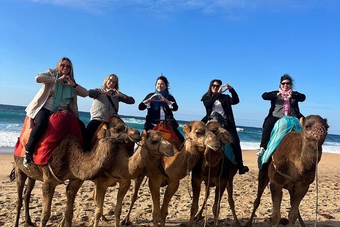 Top VIP Private Tour of Tangier from Estepona All Inclusive - A Realistic Consideration