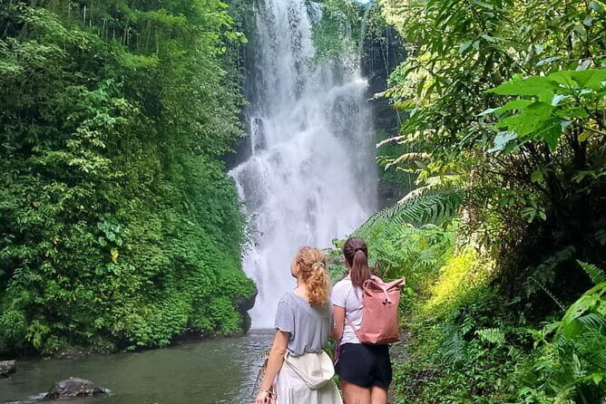 Top Waterfalls in Bali: Leke-Leke, Aling-Aling, Blue Lagoon - What’s Included and What to Expect