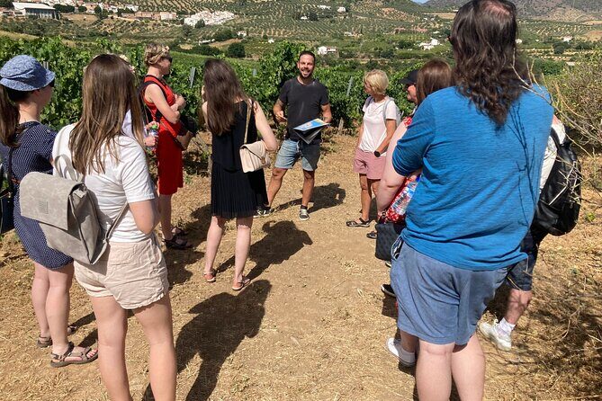 TOP WINE TOUR- Vineyard & cellar visit + 6 top wines + tapas - Exploring Malaga’s Hidden Wine Treasures: A Complete Review of the Top Wine Tour