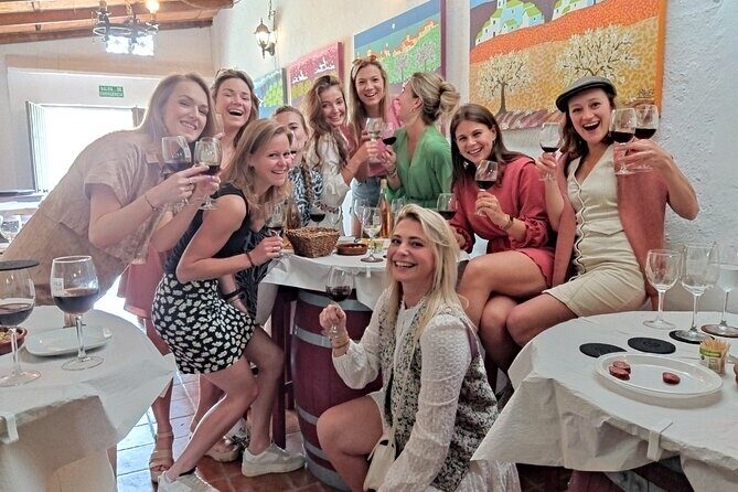 TOP WINE TOUR- Vineyard & cellar visit + 6 top wines + tapas - The Value and Overall Experience