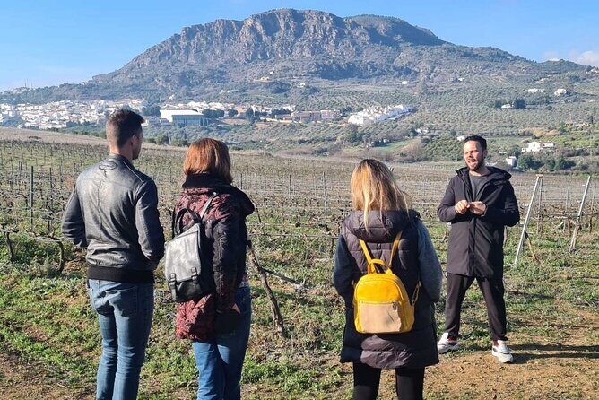 TOP WINE TOUR- Vineyard & cellar visit + 6 top wines + tapas - FAQs
