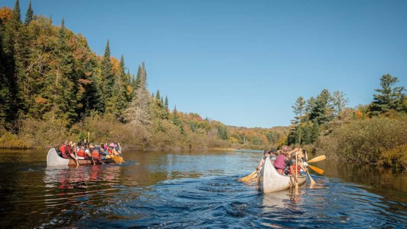 Toronto: Algonquin Park and Ragged Falls Day Trip - An Itinerary That Balances Adventure and Education