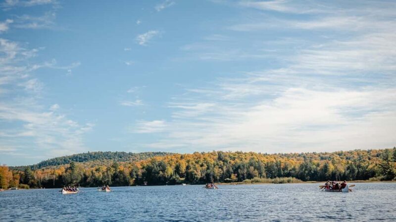 Toronto: Algonquin Park and Ragged Falls Day Trip - What Do Travelers Say?