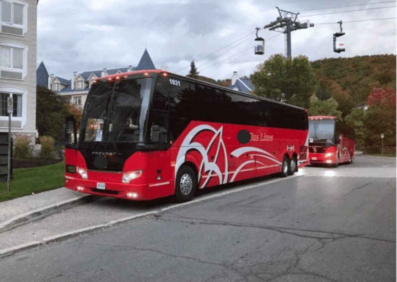 Toronto and Niagara Falls: Full-Day City and Nature Tour - FAQ