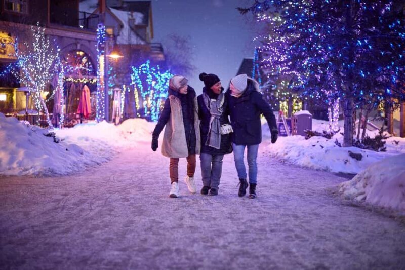 Toronto: Blue Mountain Ski & Snowboard Shuttle Day Trip - What It Means for You