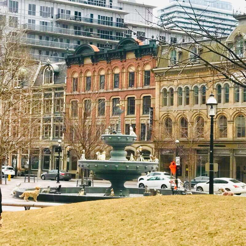 Toronto: City Walking Tour - FAQ