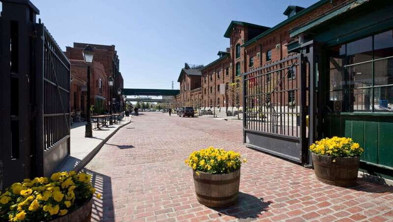 Toronto: Highlights & Hidden Gems Private Tour With a Local - Key Points