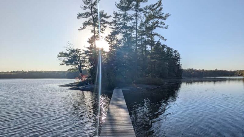 Toronto: Muskoka Cranberry Farm and Hardy Lake Hike - Who Will Love This Tour?