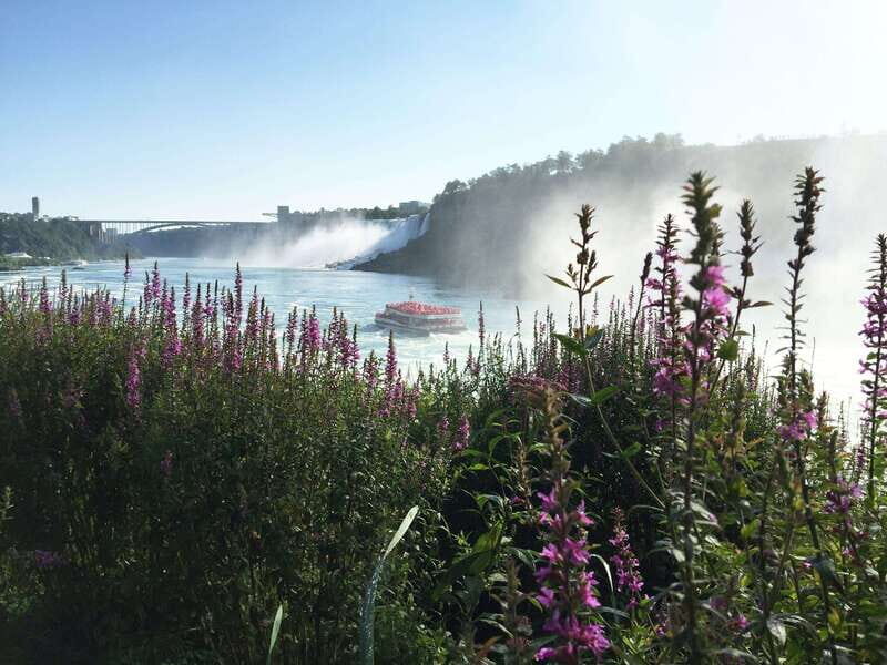Toronto: Niagara Falls Day Tour with Hornblower Cruise - The Itinerary in Detail