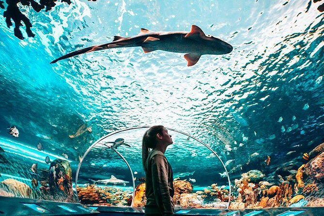 Toronto, Niagara Falls & Thousand Islands 3DAY Trip - Final Thoughts