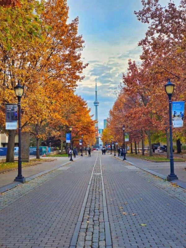 Toronto  Private 2-Hour Photoshoot with a Pro Photographer - Practical Tips for Your Photoshoot