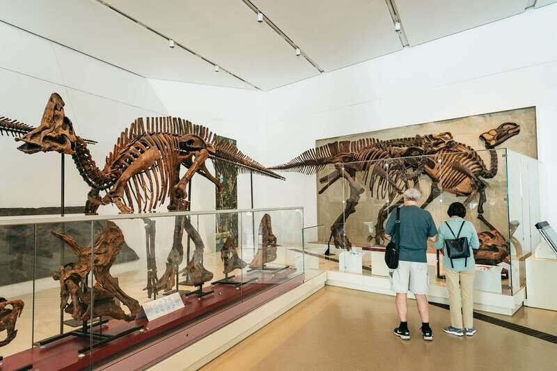 Toronto: Royal Ontario Museum Admission Ticket - Exploring the Museum: What to Expect