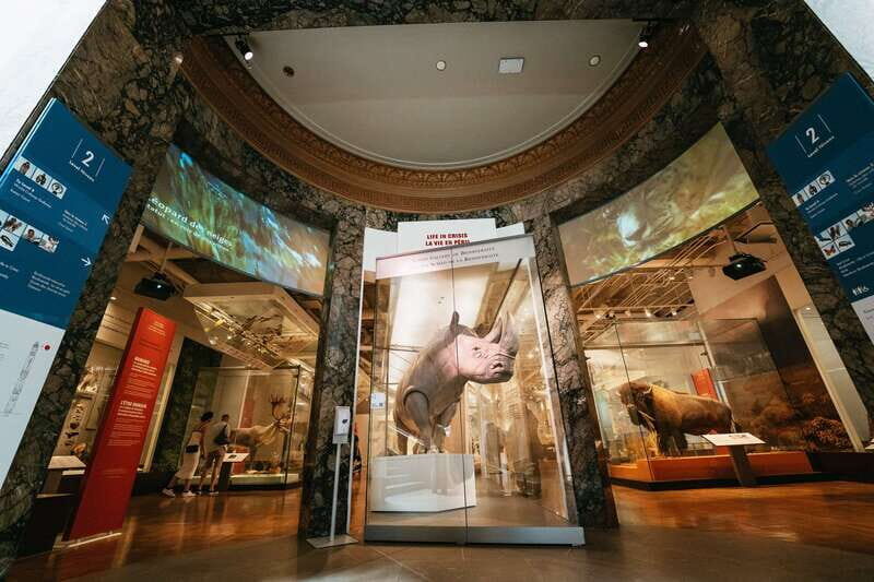 Toronto: Royal Ontario Museum Admission Ticket - Who Should Visit?