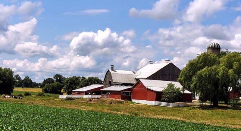 Toronto: St. Jacobs Market and Mennonite Country Tour - Who Will Love This Tour?