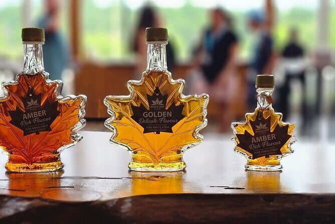 Toronto to Niagara Falls Evening Tour - Practical Aspects & Tips