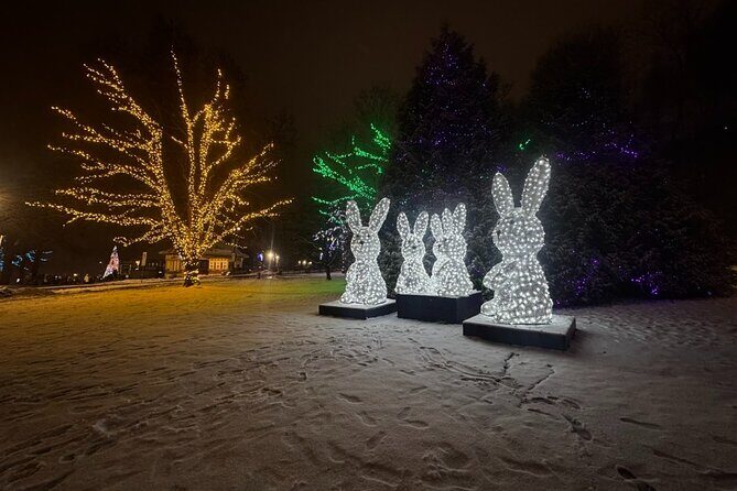 Toronto to Niagara Private Tour in Limousine - An In-Depth Look at the Toronto to Niagara Private Limousine Tour