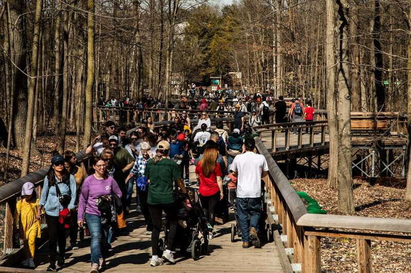 Toronto: Toronto Zoo Entry Ticket - Key Points