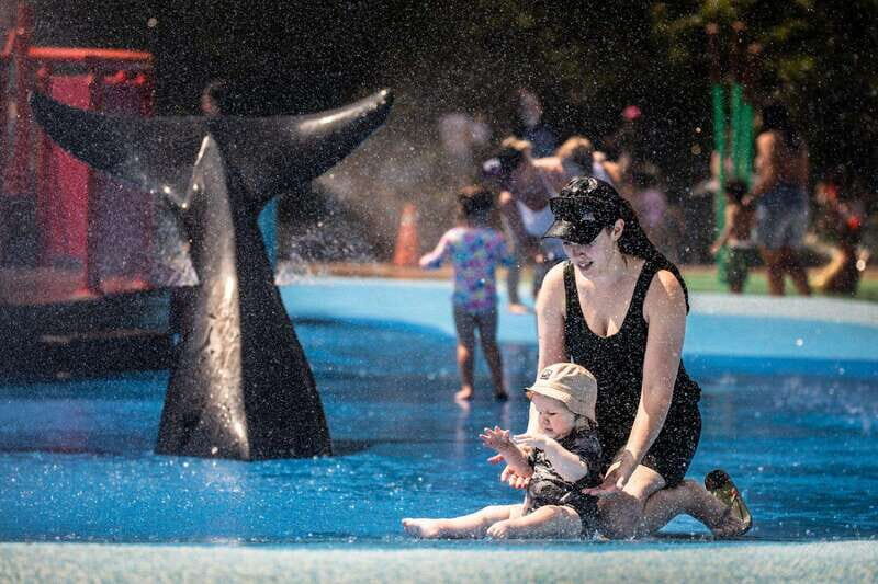 Toronto: Toronto Zoo Entry Ticket - Exploring the Toronto Zoo: A Detailed Look