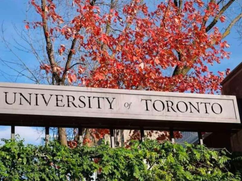 Toronto: University of Toronto Guided Walking Tour - How This Tour Compares to Others