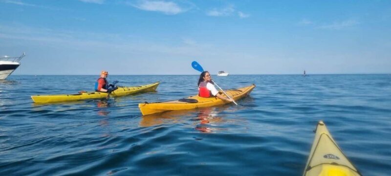Torquay: 90-Minute Sea Kayak Taster Tour - Torquay: 90-Minute Sea Kayak Taster Tour – A Balanced Look at Paddling Along the English Riviera