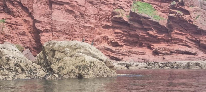 Torquay: Canoe Rental - A Hands-On Way to Experience Torquay’s Coastline