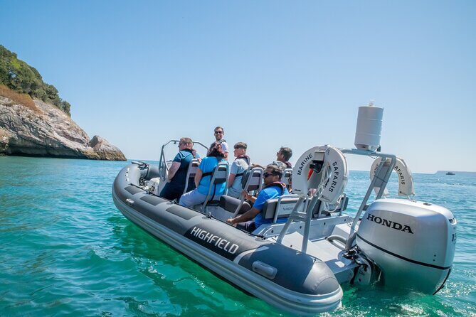 Torquay Coastal RIB Seafari - The Experience in Detail