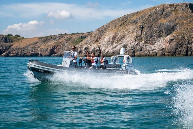 Torquay Coastal RIB Seafari - Final Thoughts