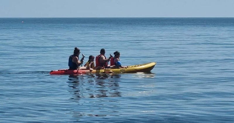 Torquay: Kayak Rental with Sit-on-Top and Sit-in Kayaks - Key Points