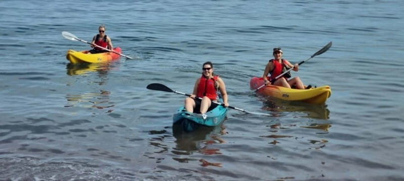 Torquay: Kayak Rental with Sit-on-Top and Sit-in Kayaks - Who Would This Tour Benefit Most?