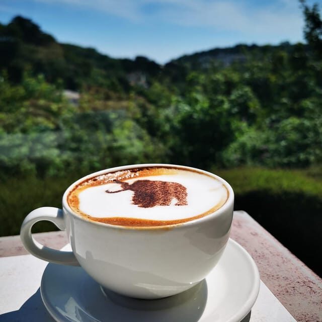 Torquay: Kents Cavern Prehistoric Cave - The Sum Up: Who Will Love Kents Cavern?