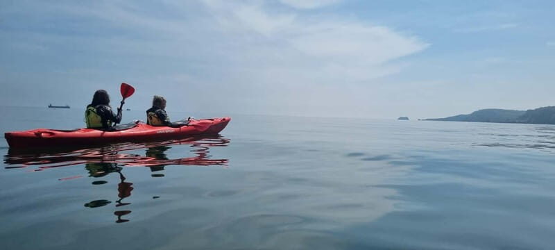 Torquay: Wildlife, Bushcraft and Sea Cave Kayak Safari - Key Points
