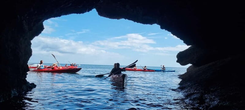 Torquay: Wildlife, Bushcraft and Sea Cave Kayak Safari - A Deep Dive into the Experience